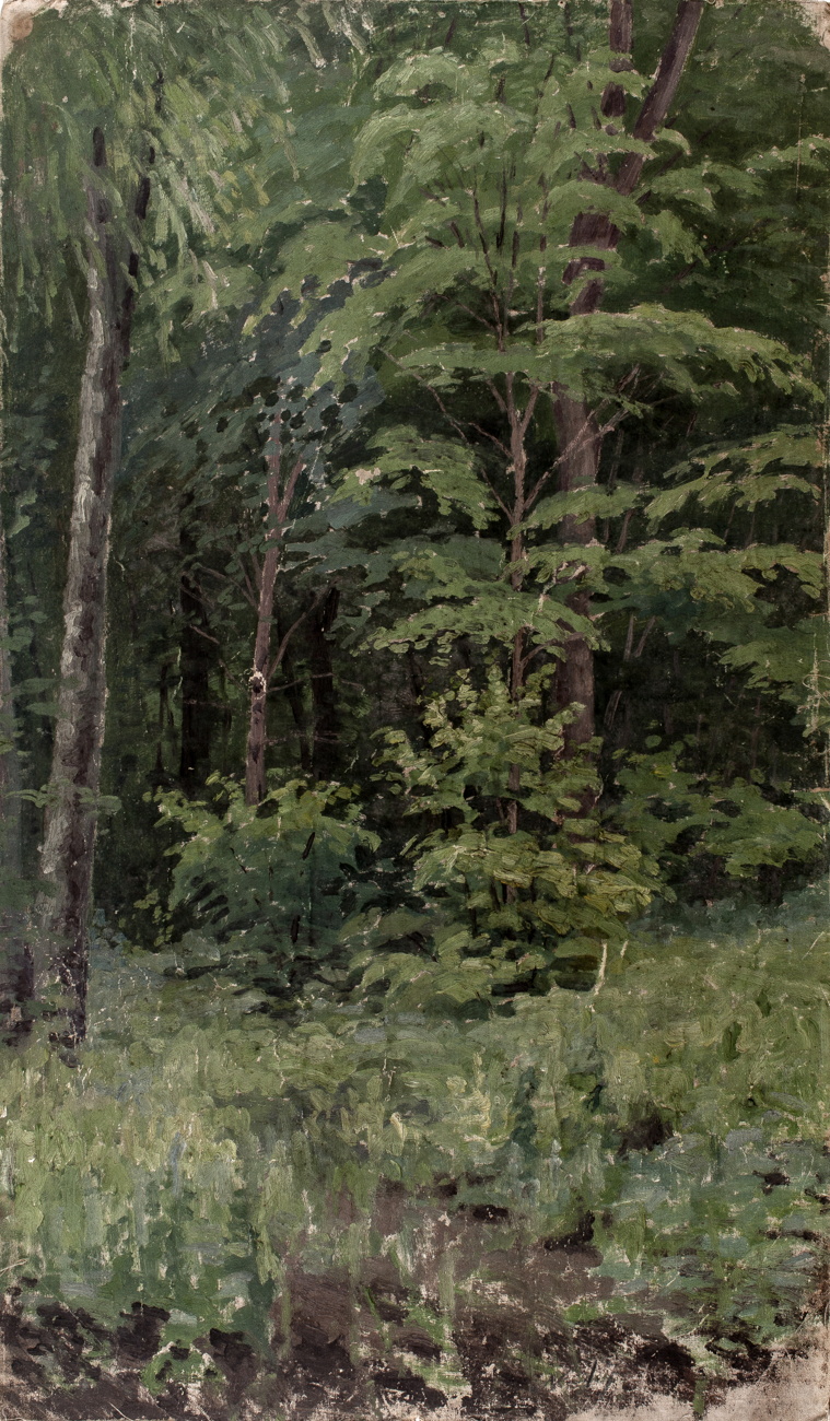 В.Г. Шешунов. Лиственный лес. Искусство Евразии, журнал об искусстве 