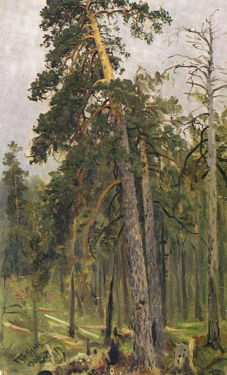 Г.И. Гуркин. Сосна Аската. Журнал 