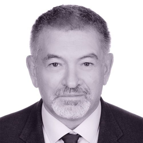 Михаил Шишин